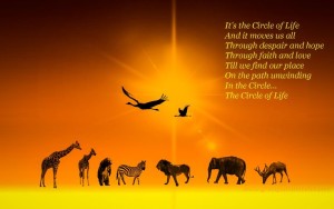 The cirlce of Life