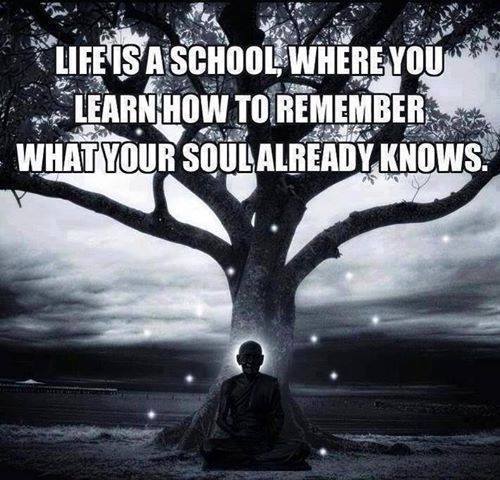 life is a school